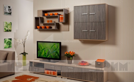 Секция ТЕНЕСИ